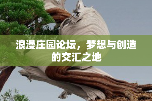 梦想与创造的交汇之地图片