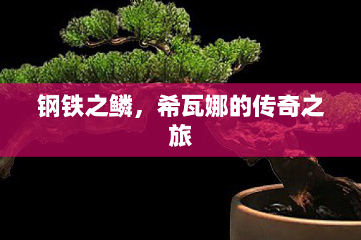 希瓦娜的传奇之旅图片