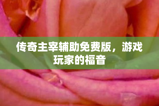 传奇主宰辅助免费版图片
