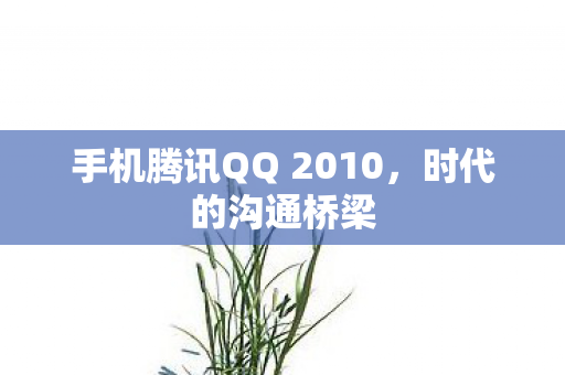 手机腾讯QQ 2010图片