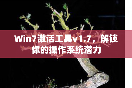 Win7激活工具v1图片