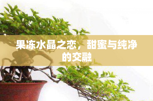 甜蜜与纯净的交融图片