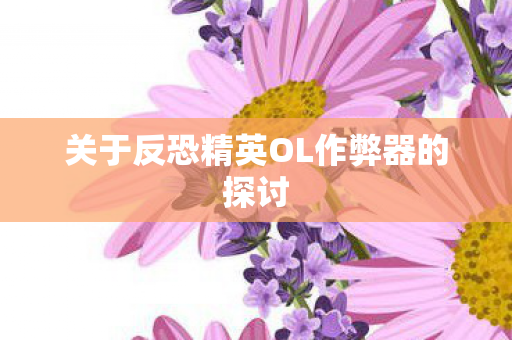 关于反恐精英OL作弊器的探讨图片