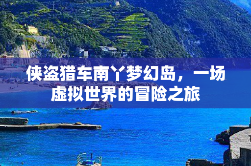 一场虚拟世界的冒险之旅图片