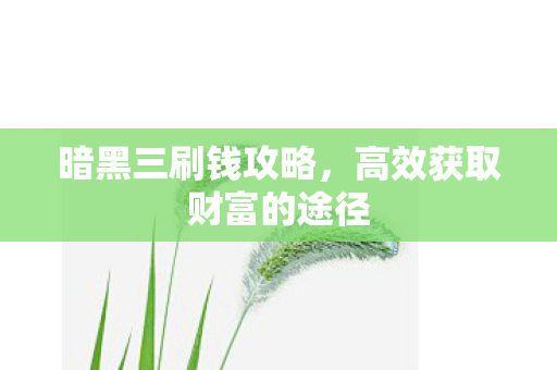 高效获取财富的途径图片