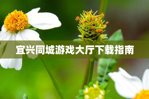 宜兴同城游戏大厅下载指南图片