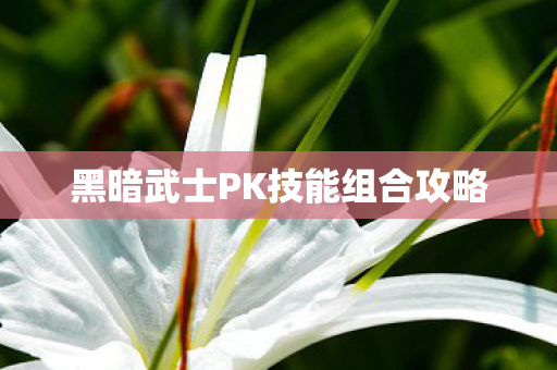 黑暗武士PK技能组合攻略图片