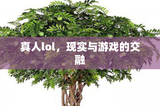 现实与游戏的交融图片