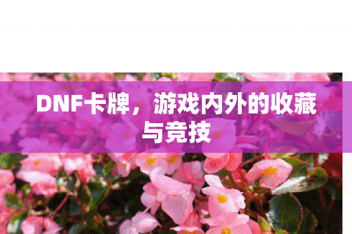 游戏内外的收藏与竞技图片