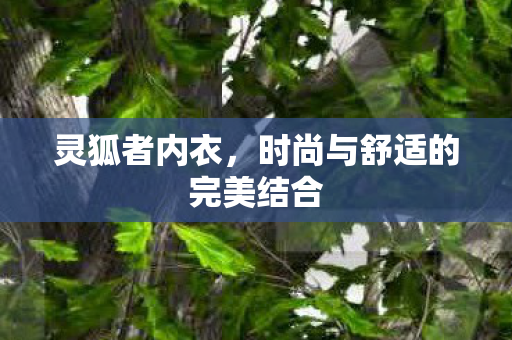 时尚与舒适的完美结合图片