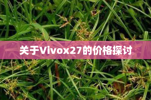 关于Vivox27的价格探讨图片