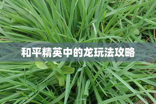 和平精英中的龙玩法攻略图片