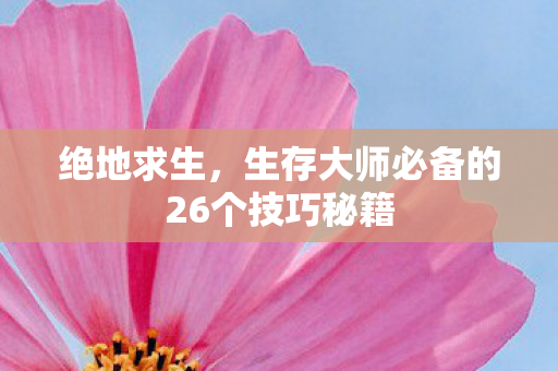生存大师必备的26个技巧秘籍图片
