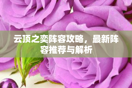 最新阵容推荐与解析图片