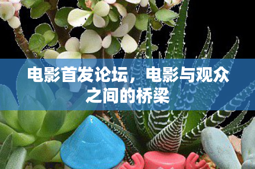 电影与观众之间的桥梁图片