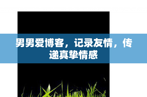 传递真挚情感图片