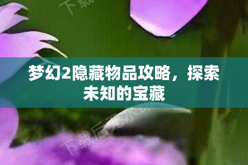 梦幻2隐藏物品攻略图片