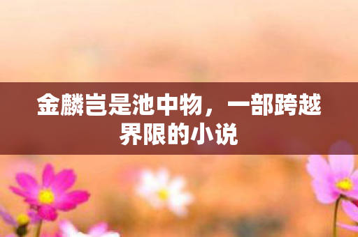 一部跨越界限的小说图片