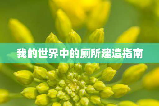 我的世界中的厕所建造指南图片