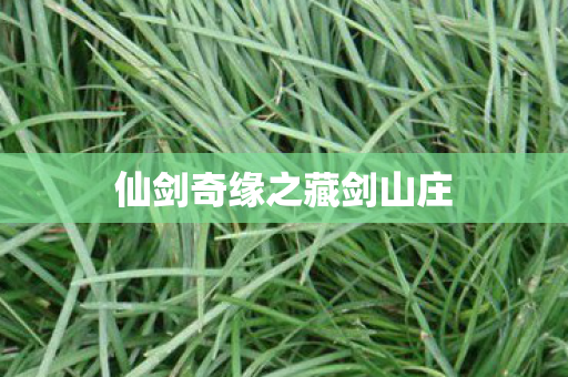 仙剑奇缘之藏剑山庄图片