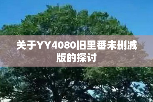 关于YY4080旧里番未删减版的探讨图片