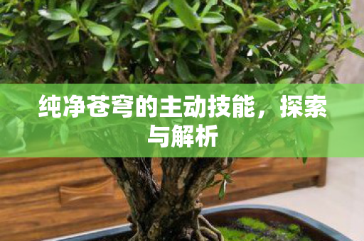 纯净苍穹的主动技能图片