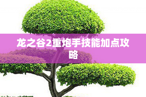 龙之谷2重炮手技能加点攻略图片