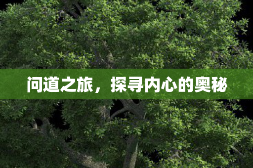 探寻内心的奥秘图片