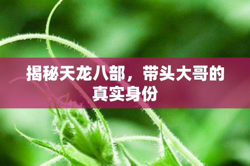 带头大哥的真实身份图片