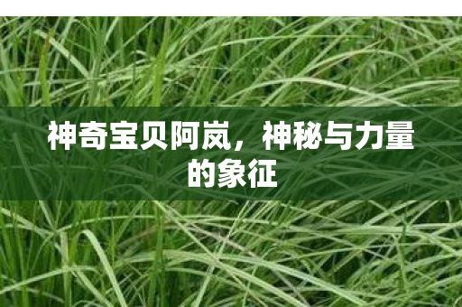 神秘与力量的象征图片