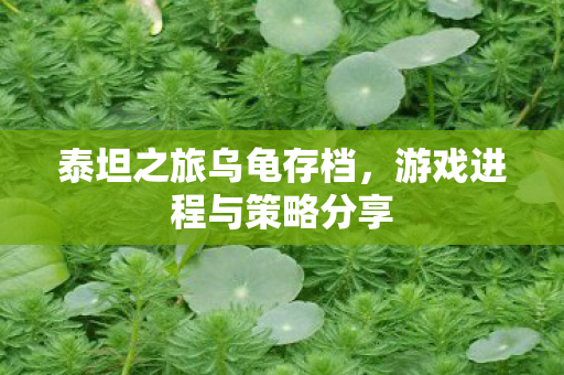 游戏进程与策略分享图片