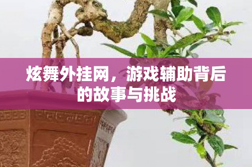 游戏辅助背后的故事与挑战图片