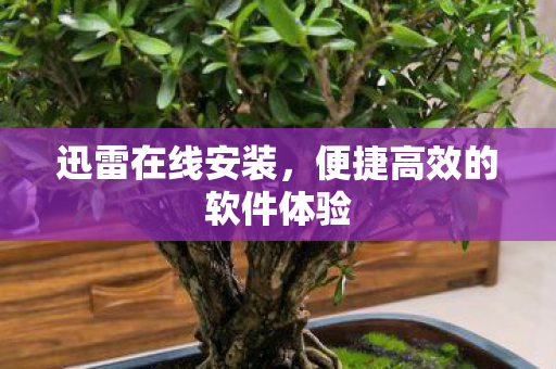 便捷高效的软件体验图片