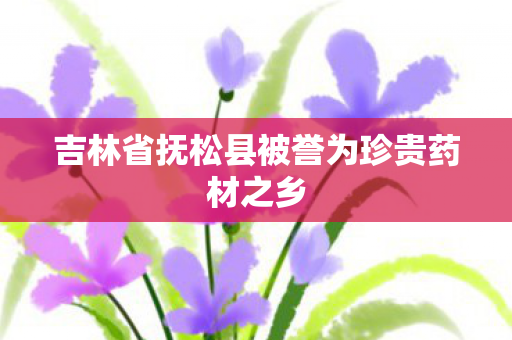 吉林省抚松县被誉为珍贵药材之乡图片