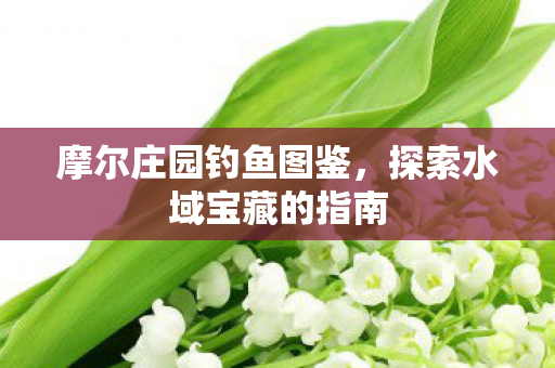 探索水域宝藏的指南图片