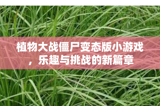 植物大战僵尸变态版小游戏图片