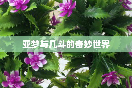亚梦与几斗的奇妙世界图片
