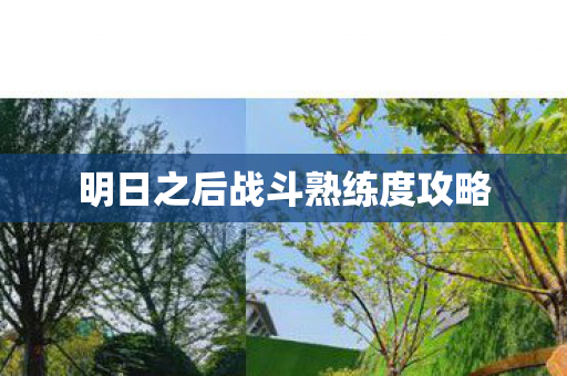 明日之后战斗熟练度攻略图片