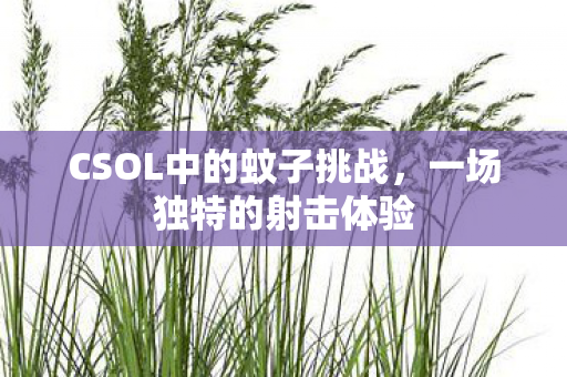 CSOL中的蚊子挑战图片