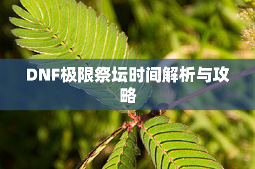 DNF极限祭坛时间解析与攻略图片