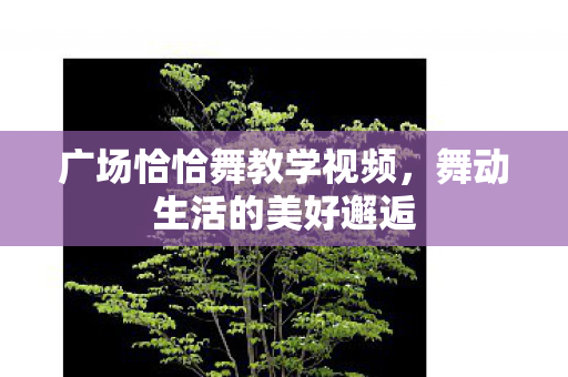 广场恰恰舞教学视频图片