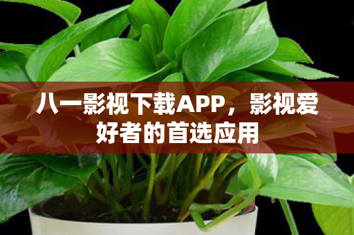 影视爱好者的首选应用图片