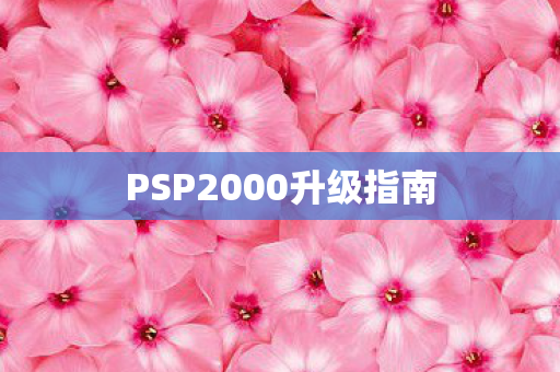 PSP2000升级指南图片