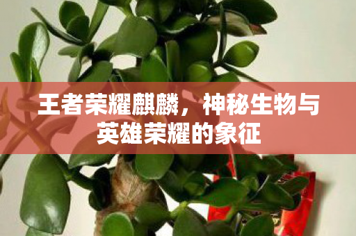 神秘生物与英雄荣耀的象征图片