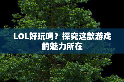 探究这款游戏的魅力所在图片