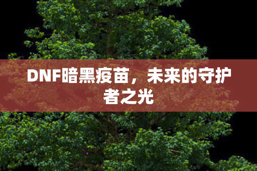 未来的守护者之光图片