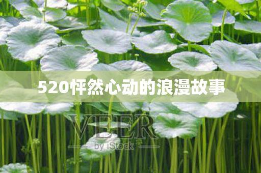 520怦然心动的浪漫故事图片