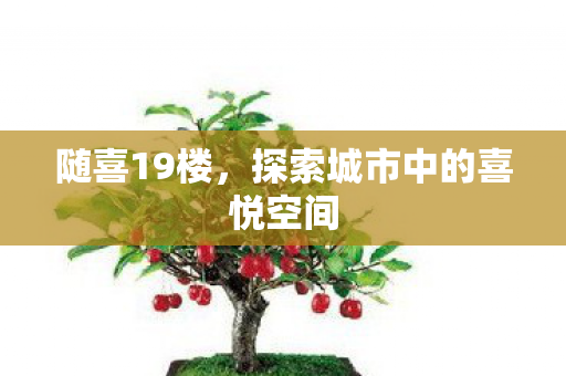 探索城市中的喜悦空间图片