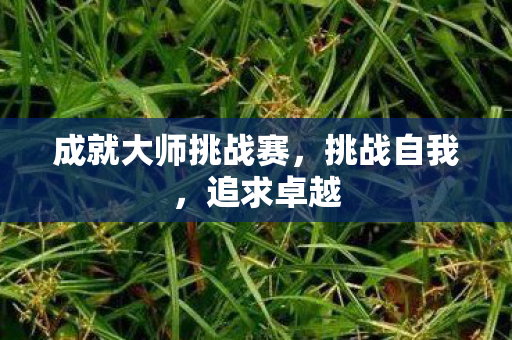 成就大师挑战赛图片