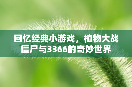 植物大战僵尸与3366的奇妙世界图片